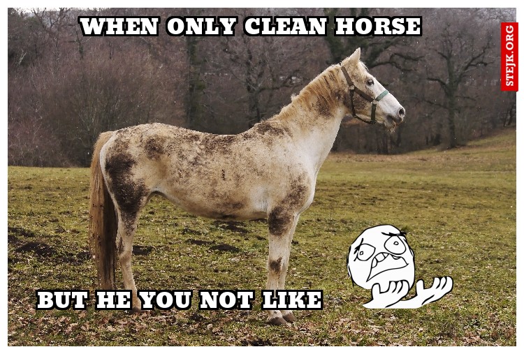 When only clean horse