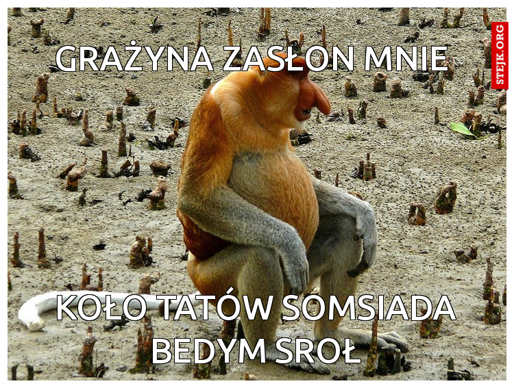 Grażyna zasłon mnie 