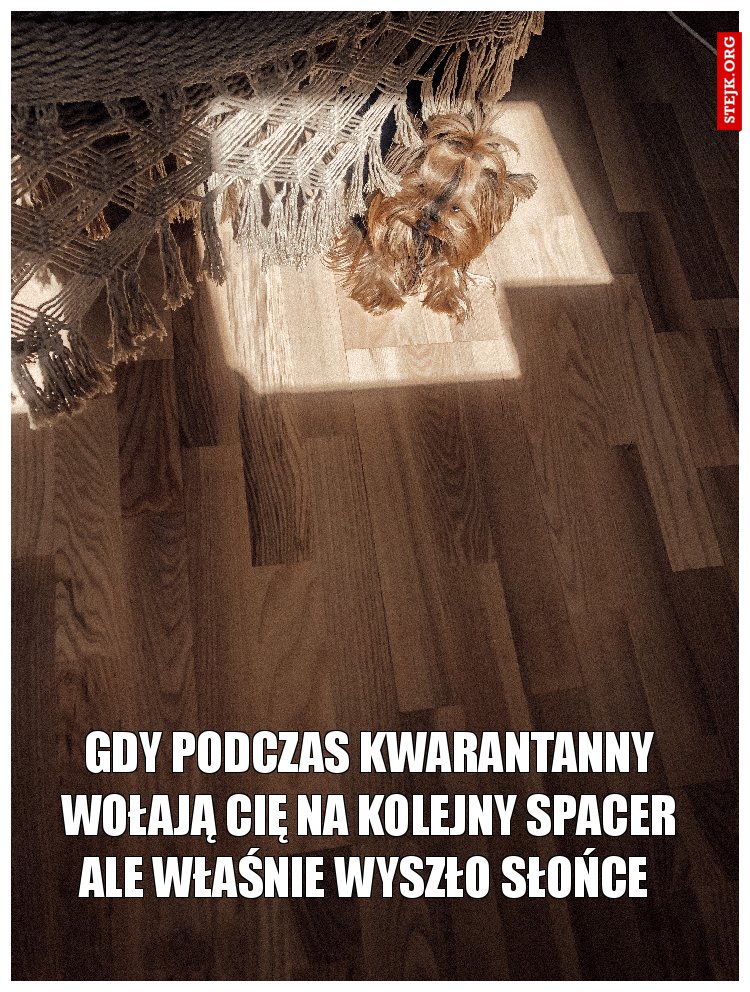 gdy Pod