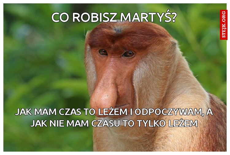 CO ROBISZ MARTYŚ?