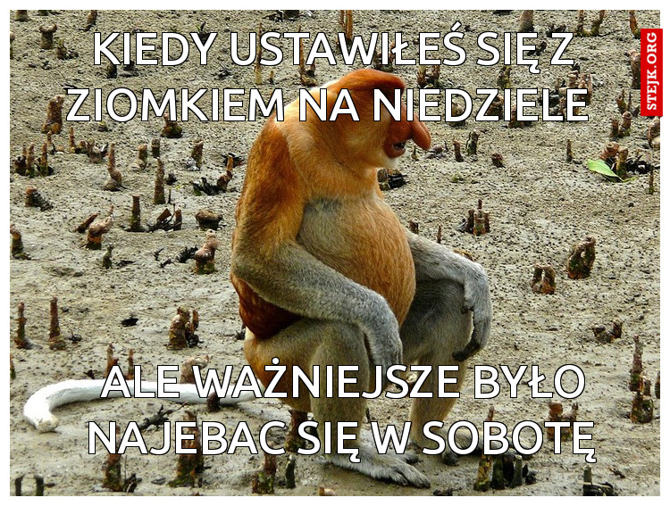 Kiedy ustawiłeś się z ziomkiem na niedziele 
