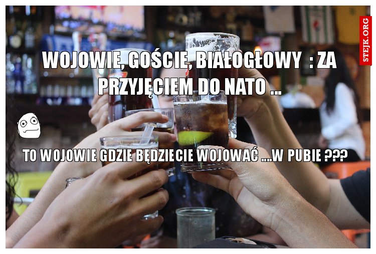 wojowie, goście, białogłowy  : za przyjęciem do nato ...