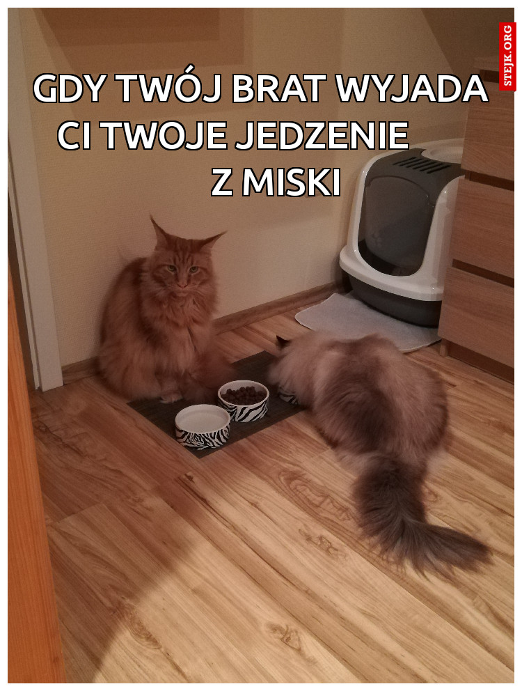 Gdy Twój brat wyjada       ci twoje jedzenie              z miski