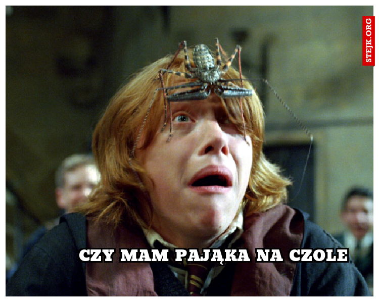 czy mam pająka na czole