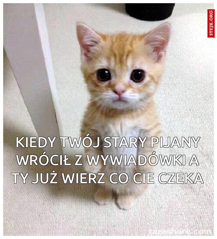 Kiedy twój stary pijany wrócił z wywiadówki A ty już wierz co cie czeka
