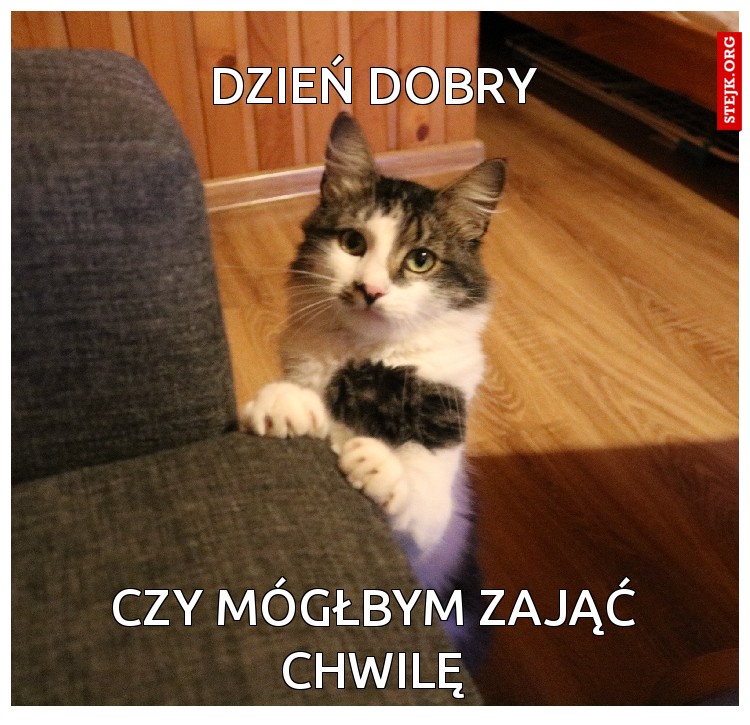 Dzień dobry