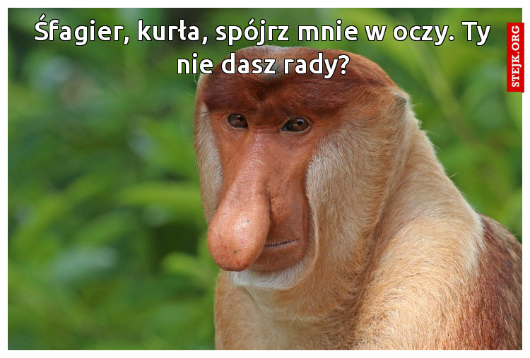 Śfagier, kurła, spójrz mnie w oczy. Ty nie dasz rady?