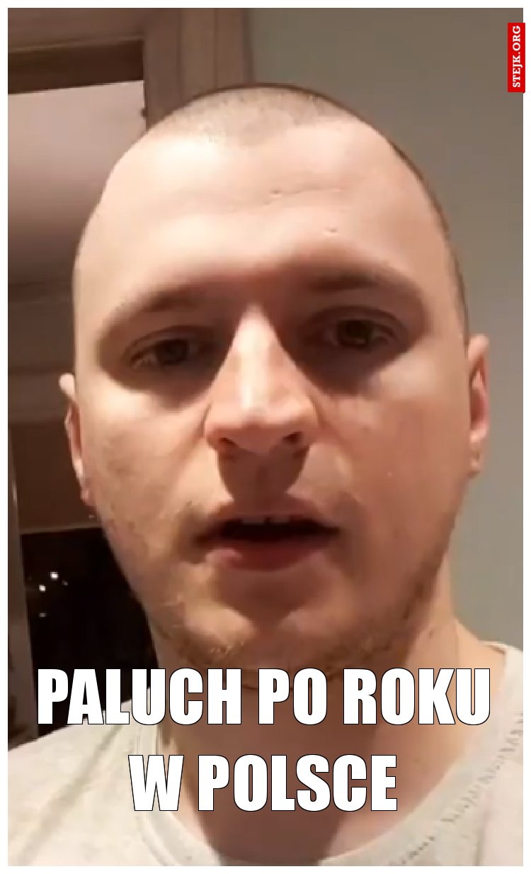 paluch po roku w polsce