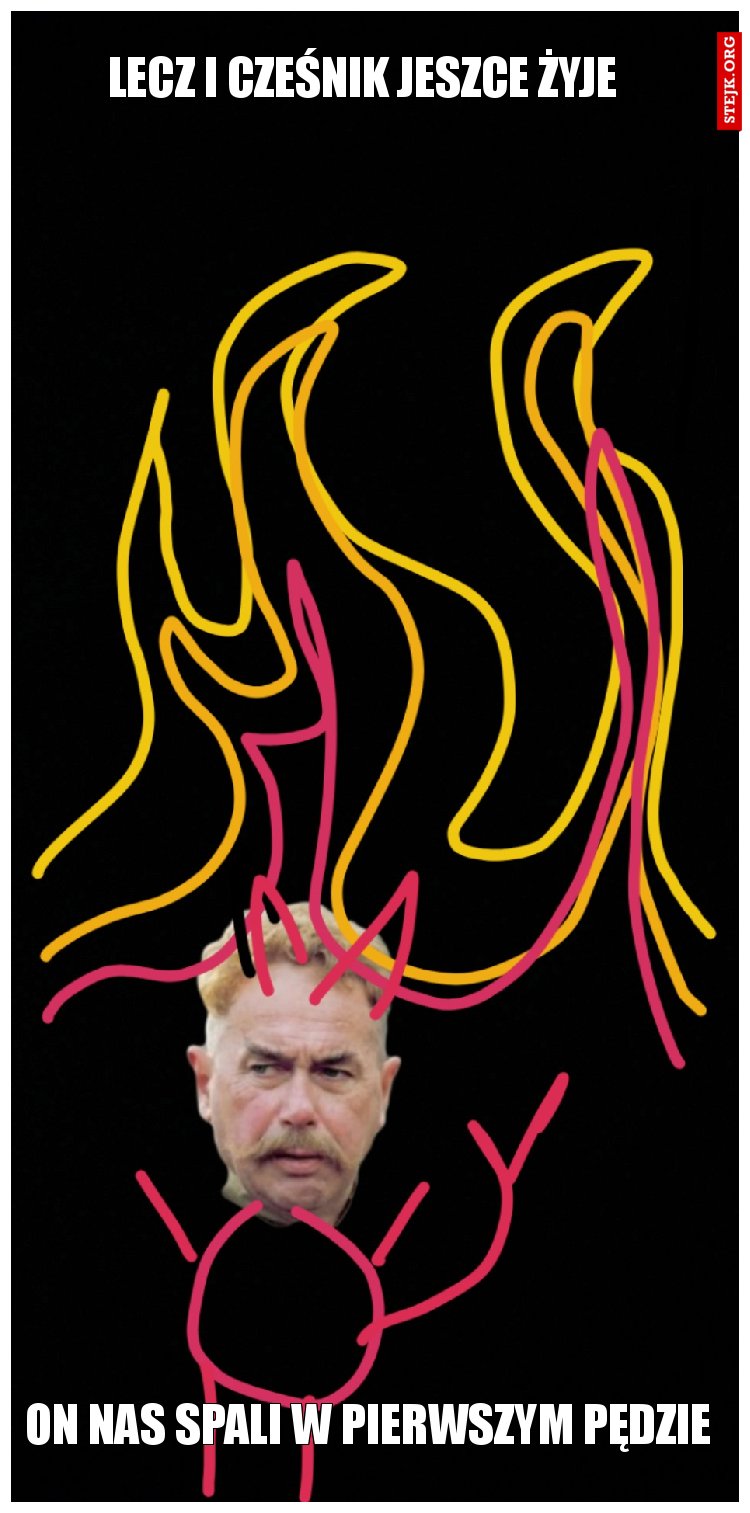 LECZ I CZEŚNIK JESZCE ŻYJE