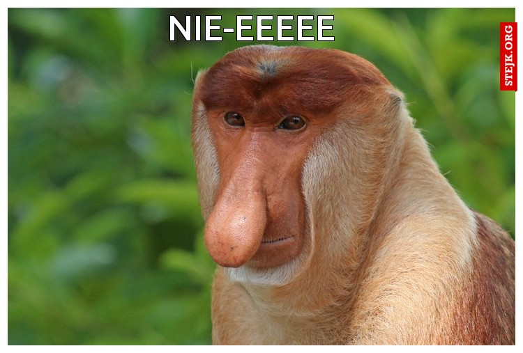 NIE-EEEEE