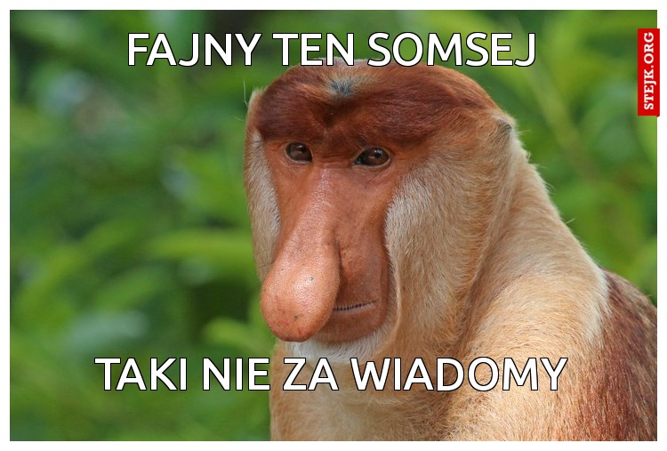 Fajny ten somsej
