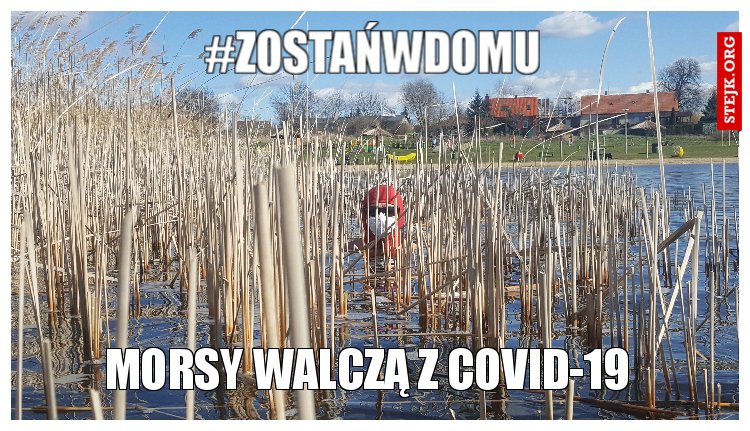 #zostańwdomu