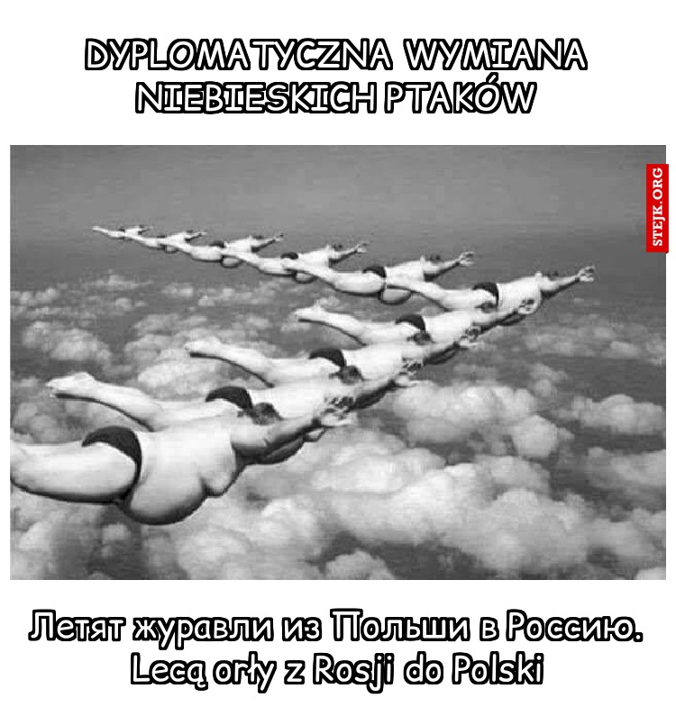 Dyplomatyczna wymiana niebieskich ptaków