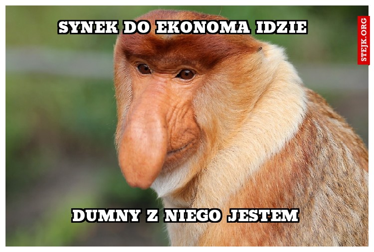 synek do ekonoma idzie 