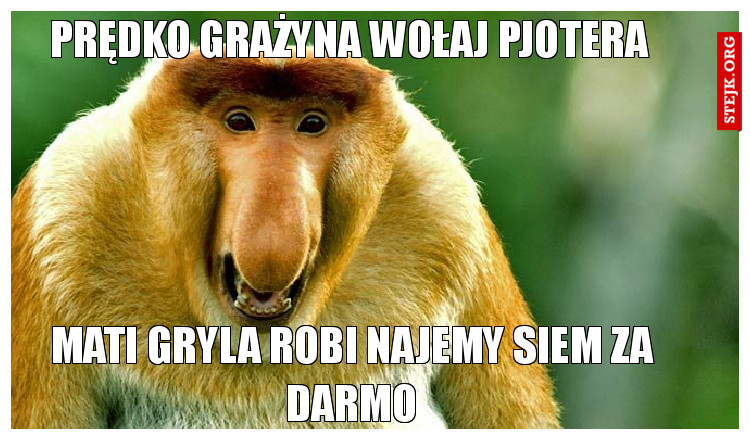 Gryl u matiego