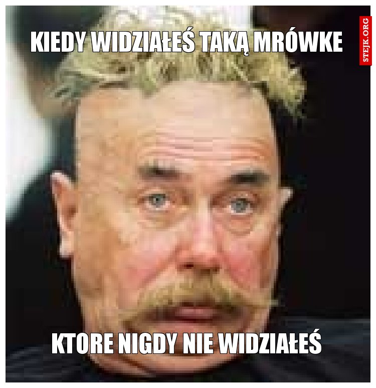 Kiedy widziałeś taką mrówke