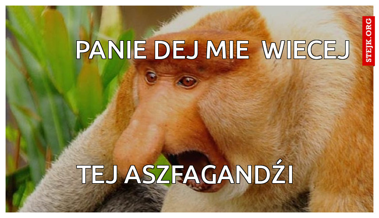 Panie dej  mnie więcej 