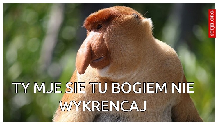 Ty mje sie tu Bogiem nie wykrencaj