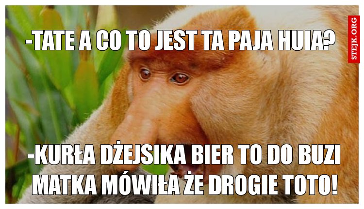 -Tate a co to jest ta paja huia?