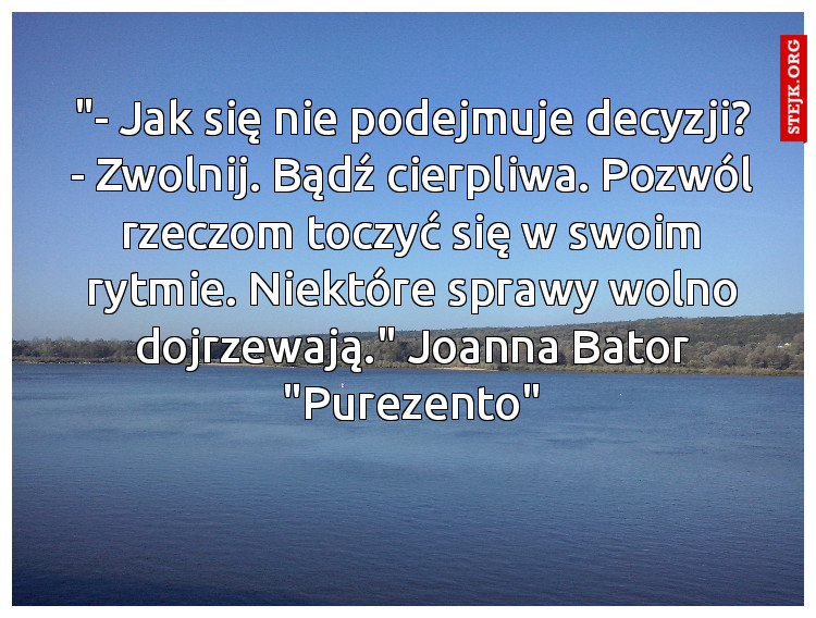 "- Jak się nie podejmuje decyzji? - Zwolnij. Bądź cierpliwa. Pozwól rzeczom toczyć się w swoim rytmie. Niektóre sprawy wolno dojrzewają." Joanna Bator "Purezento"