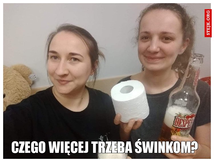 Czego więcej trzeba świnkom?