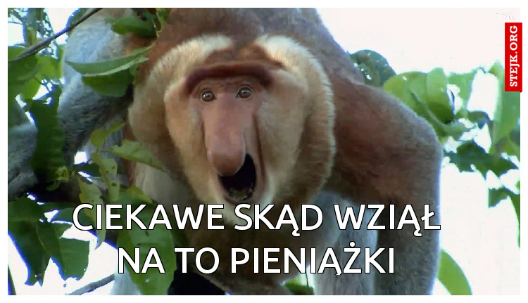 CIEKAWE SKĄD WZIĄŁ NA TO PIENIĄŻKI