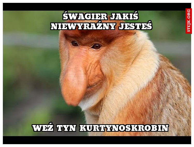 Śwagier  weź tyn kurtynoskrobin,