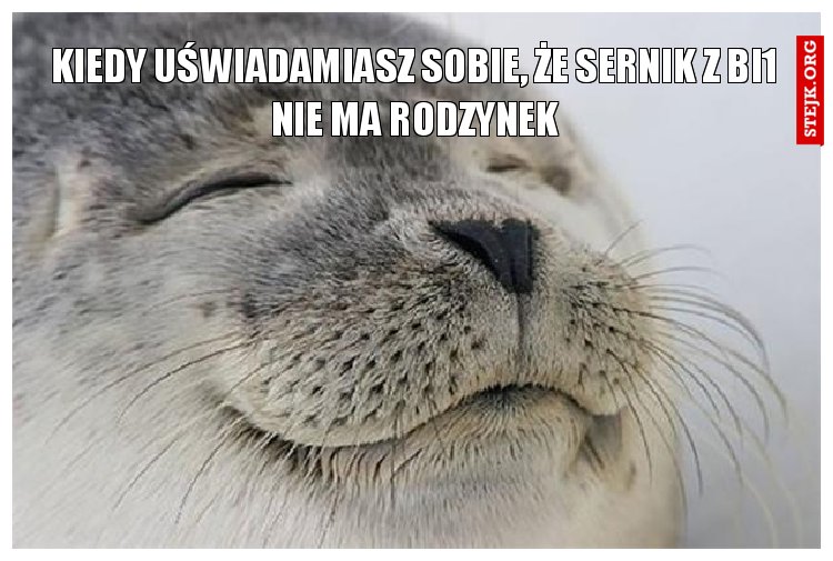 Kiedy uświadamiasz sobie, że sernik z bi1 nie ma rodzynek