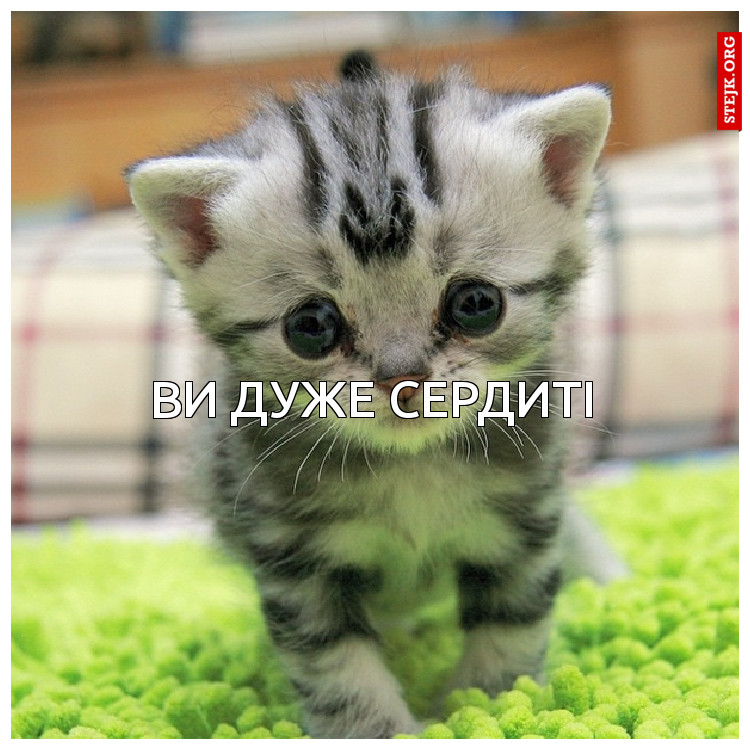 ви дуже сердиті
