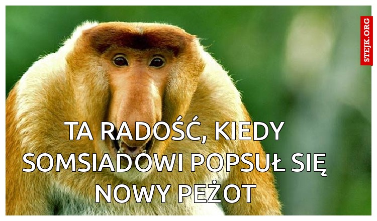 ta radość, kiedy somsiadowi popsuł się nowy peżot