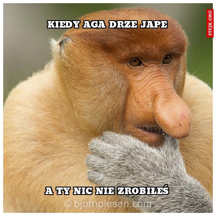 kiedy aga drze jape