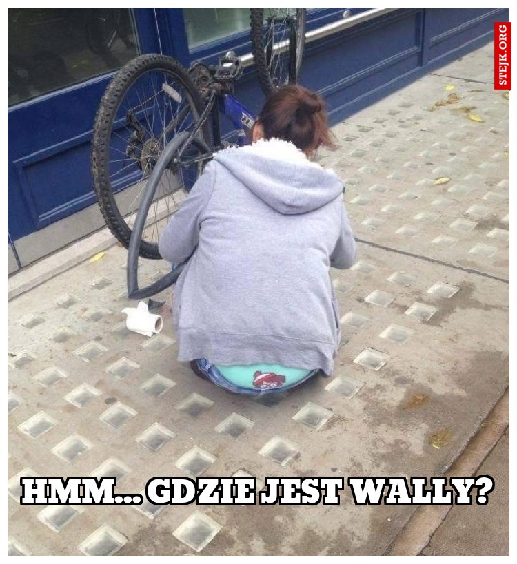 Hmm... gdzie jest Wally?