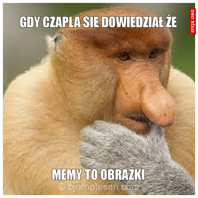 GDY CZAPLA SIE DOWIEDZIAŁ ŻE
