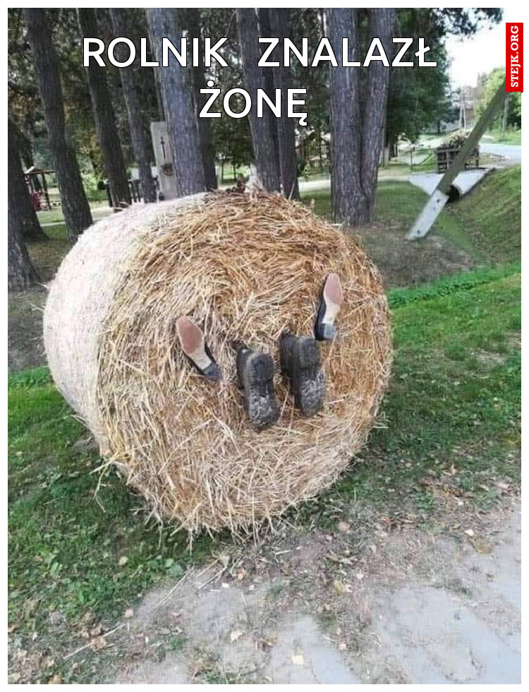 rolnik   znalazł           żonę           