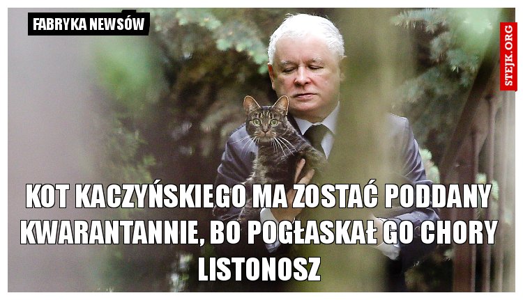 Kot Kaczyńskiego ma zostać poddany kwarantannie, bo pogłaskał go chory listonosz