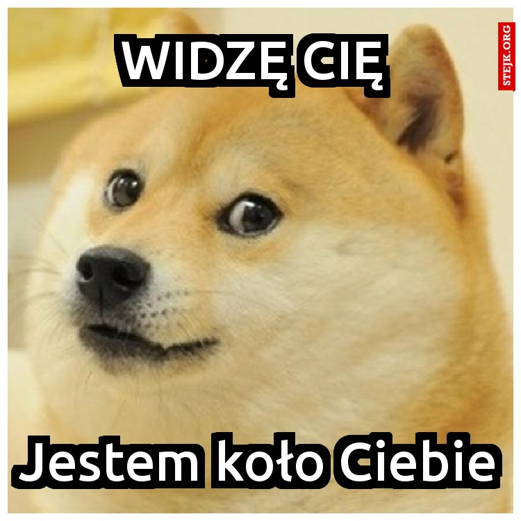 Widzę Cię 