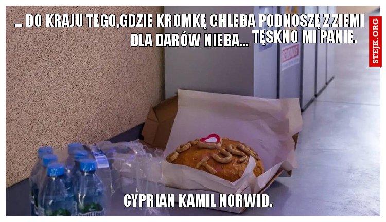 ... do kraju tego,gdzie kromkę chleba podnoszę z ziemi dla darów nieba...