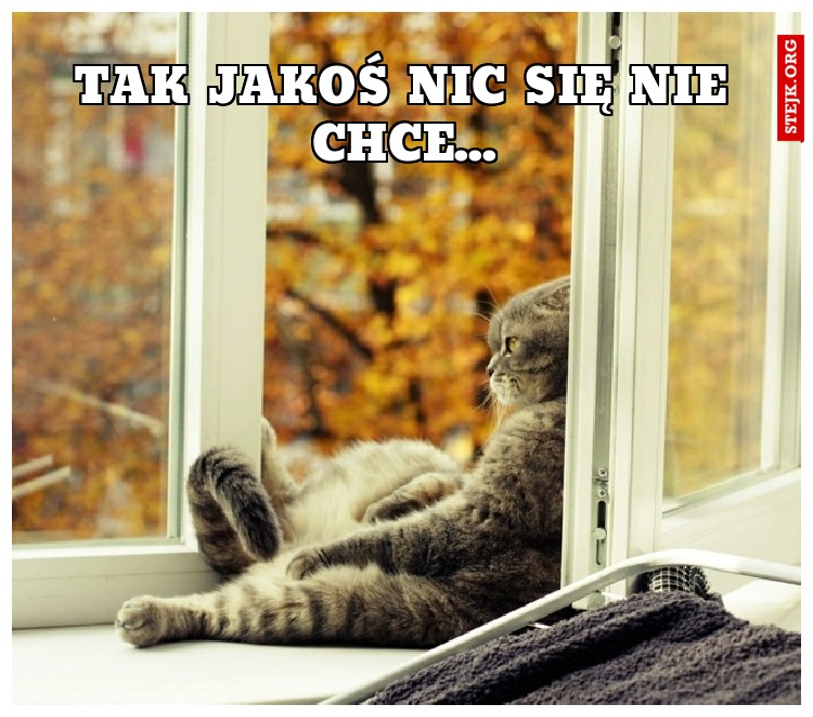 Tak jakoś nic się nie chce... 