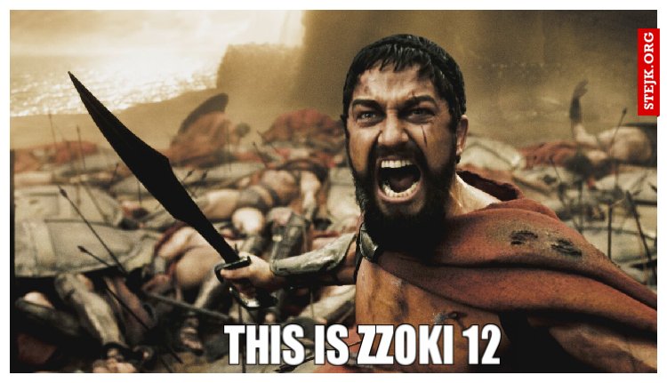 This is ZZOKI 12