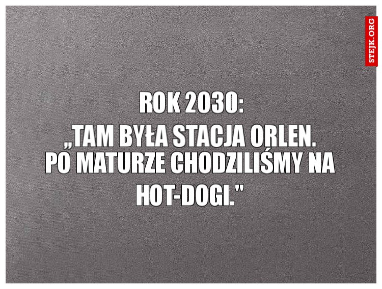 Rok 2030: