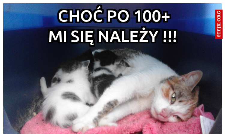             Choć po 100             mi się należy !!!