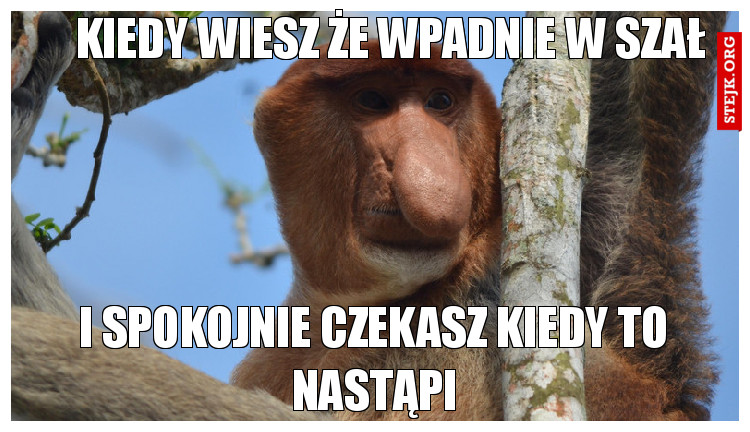 Kiedy wiesz że wpadnie w szał 