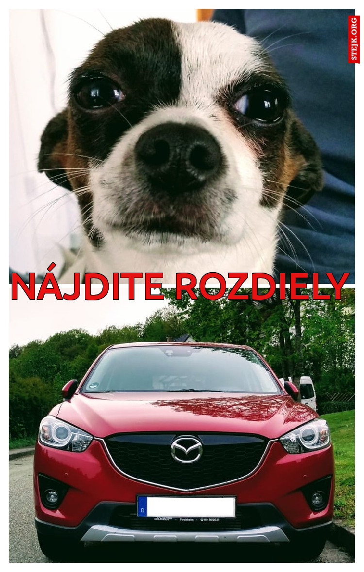 Nájdite rozdiely