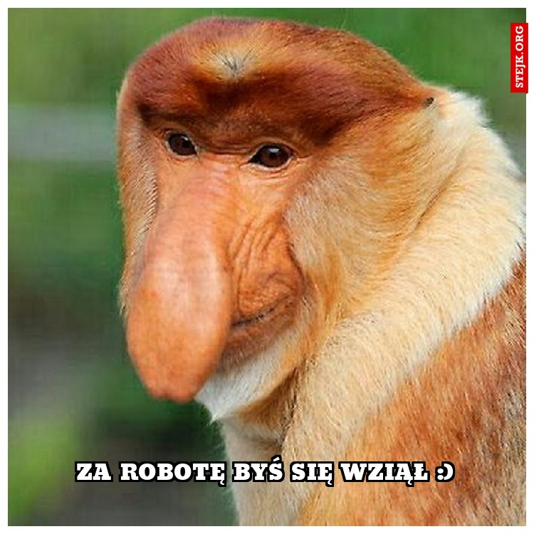 Za robotę byś się wziął :)