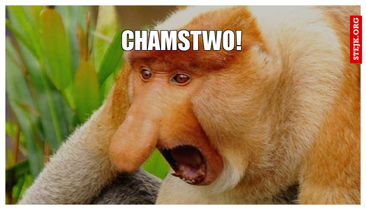 CHAMSTWO!