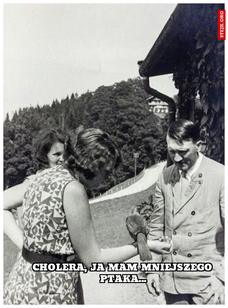 cholera, ja mam mniejszego ptaka...