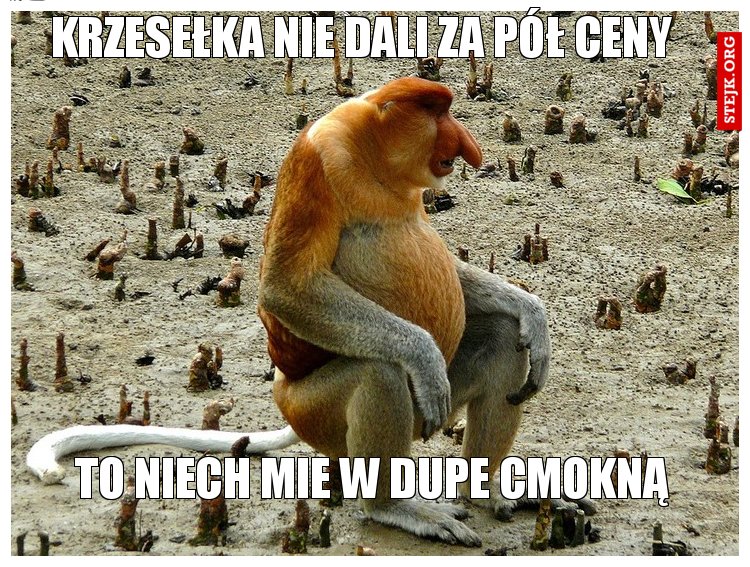 krzesełka nie dali za pół ceny
