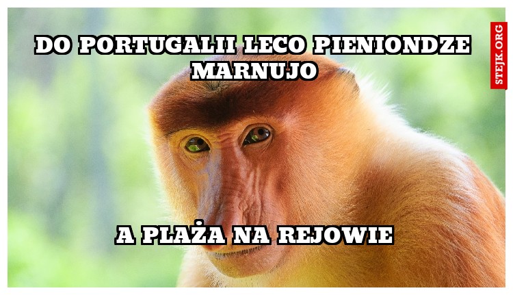 DO PORTUGALII LECO PIENIONDZE MARNUJO