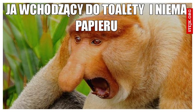 ja wchodzący do toalety  i niema papieru