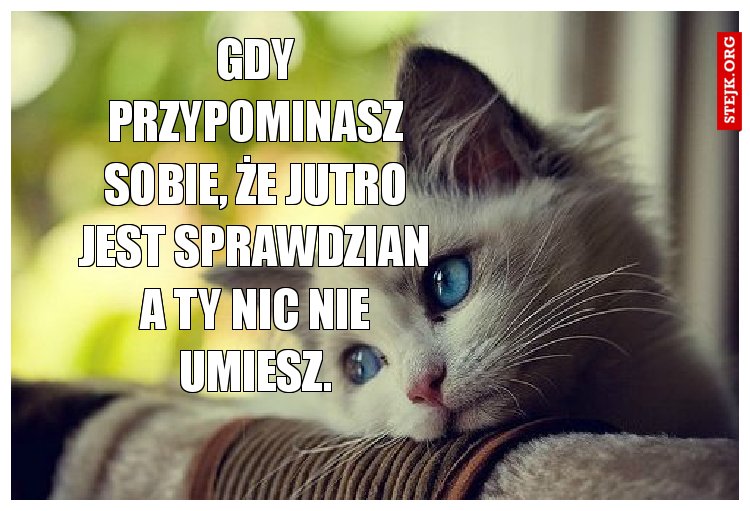 Gdy przypominasz sobie, że jutro jest sprawdzian a ty nic nie umiesz.